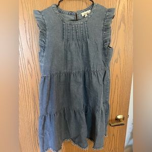 Boutique Denim Dress